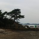 금성면사무소 이미지