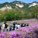 힐링타운 이미지