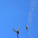 허난설헌생가터 이미지