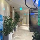 레이져 | 강남역 성형외과 부유방늘어짐 울핏레이져 후기