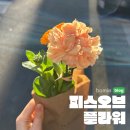 무인59 | 신사 무인꽃집 피스오브플라워 후기 :: 가로수길 3송이 9,900원 셀프 꽃다발, 기념일 선물