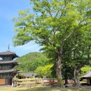 5월 5일 화요당일 - 화순 계당산+철쭉+쌍봉사 신청안내(28인승/31인승) 이미지