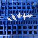 지에스25 오전공단 | 알바 후기 (4) GS25 편의점 알바 후기 (오전, 오후)