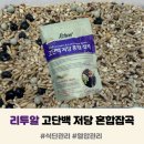 콩부자 개봉점 | 식단 관리를 위한 저당 잡곡 ｜ 리투알 고단백 저당 혼합잡곡