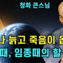 임종공부(순선안심탁마법회) 이미지