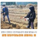 생동농장 이미지