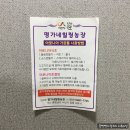 [후기] 하루 한잔으로 몸이 가벼워지는 아로니아식초, 명가네힐링농장 아로니아싱싱초
