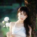 오월의 하루 이미지