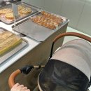 별빛애견 이미지