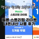 노래가전부다 | 멜론 스트리밍라이트 내돈내산 결제 실사용 후기 추천, 비추천 이유 장단점비교 재생안되는 노래 종류