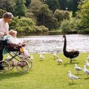 서경행정사사무소 이미지