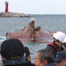 예인체육관 이미지