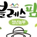 블레스팜 이미지