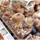 장돌뱅이 5일장 시끌벅적 장터공연 이미지