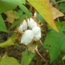 가톨릭할인마트 이미지