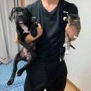 강동게스트원룸텔