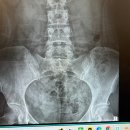 참신경외과의원 이미지