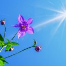 가평행정사 이미지