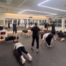 팀위너 복싱핏 이미지