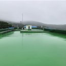 합일초교 이미지