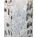 (특강)수묵담채화 이미지