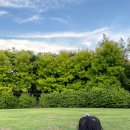 도란도란 그림책 산책 이미지