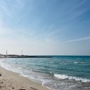 역사코스 이미지