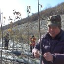 유인목장 이미지