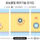 (주)코스맥스코리아 이미지