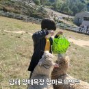 언덕위힐링목장
