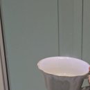 면역에 도움이 되는 자연 유래 성분을 하루 한잔으로! 코리아믹스 녹각 영지버섯 티백차 찐 후기