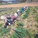 농협안성농식품물류센터 이미지