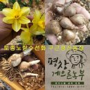 평밭농장 이미지