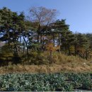 별 헤는 마을 이미지