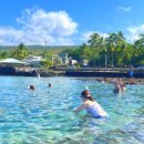 양대농장 이미지