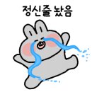 항구동 이미지