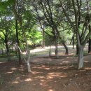 왕지공원 이미지