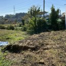 양평목장 이미지