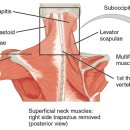 중부한의원 이미지
