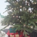 은행골 어울터 이미지