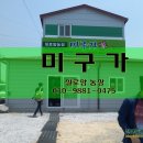 실로암 건강식품