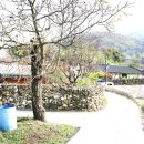 청계사입구 삼거리 | 계룡산 남매탑 / 공주 청량사지쌍탑