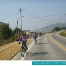 석포주유소 이미지