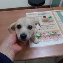 서서울호수동물병원 이미지