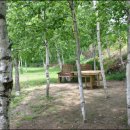 자작나무쉼터 이미지