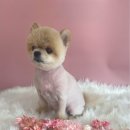 오수의과 동물병원 이미지