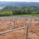 대지 태양광발전소 이미지