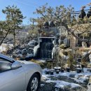 대성민물매운탕 이미지