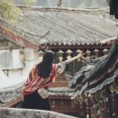 중국국제행정사 이미지