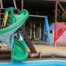 아침에 새소리 이미지